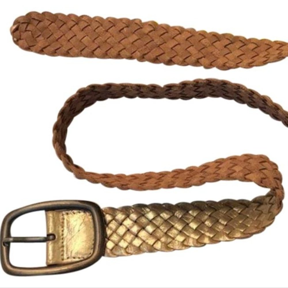 Fossil Belt